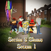 SECTION 8 SLAMZ: SEEZUN 1