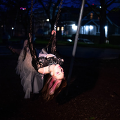 never let me fall in love again!