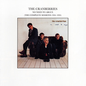 So Cold In Ireland by The Cranberries