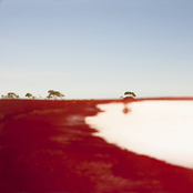 Crossed and Recrossed