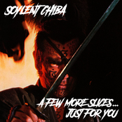 A Few More Slices... Just For You