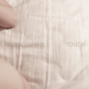 Diamonds by Silver Swans