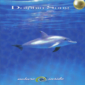 Dolphin Song