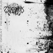 Wake Of The Controversy by Toxocara