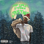 The Splat That Stole Christmas