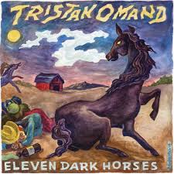 Eleven Dark Horses