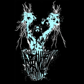 Shimmy Shimmy Bring It Down