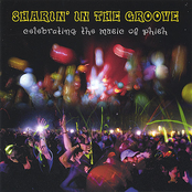 Sharin' In The Groove