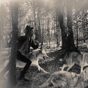 Split w. Death Mercedes