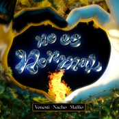 Venesti: No Es Normal