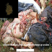Slurped blood piss from decapitated stumps ep session