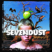 Sevendust: Animosity