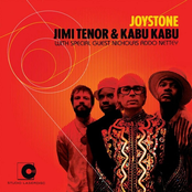 Green Grass by Jimi Tenor & Kabu Kabu