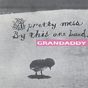 Peeano by Grandaddy