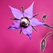 Can We Still Be Friends?