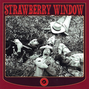 Strawberry Jam by Strawberry Window