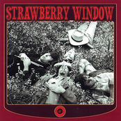 Strawberry Window