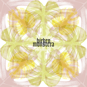 Monstera