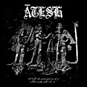 برای سرزمین پدری خود گریه کرد /  در شب اکنون چیزی میگذرد