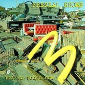 Wrong Is Right by Frenzal Rhomb