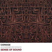 Sense Of Sound by Carnage