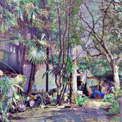 kilk records sampler summer 2012