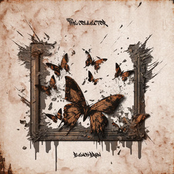 The Collector - Single