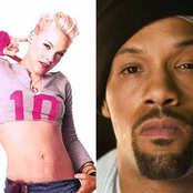 pink feat. redman