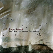 don't let your dreams fall asleep