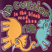 In the Black Sandshoe