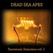 Nagual by Dead Sea Apes