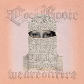 We Are On Fire by Cocorosie