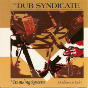 Pounding System by Dub Syndicate