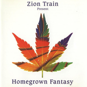 Love The Earth by Zion Train