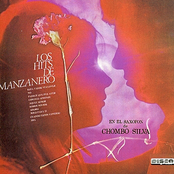 Los Hits de Manzanero