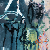Roots