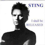 Invisible Sun by Sting