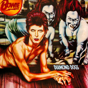 Diamond Dogs