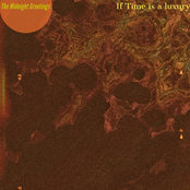 If Time Is A Luxury