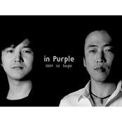 인 퍼플(in purple)