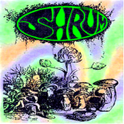 Virus by Shrum