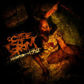 Scythe of Grim: Dissolution of the Divine