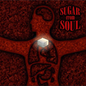 Sugar From Soul - Album Preview
