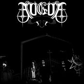 Shadows of the Black Cross