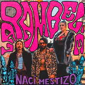 Nací Mestizo