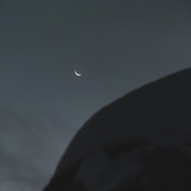 For You / I'm Sorry, I Tried