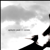 The Subeliptical Series {I: Condor}