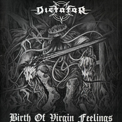 Birth Of Virgin Feelings