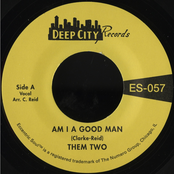Am I a Good Man / Love Has Taken Wings - Single