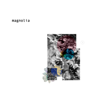 Magnolia - Single